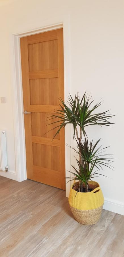 Lauriston Apartment Birch